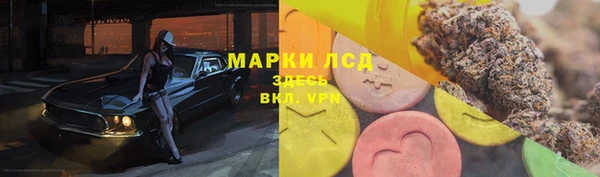 гидра Лихославль