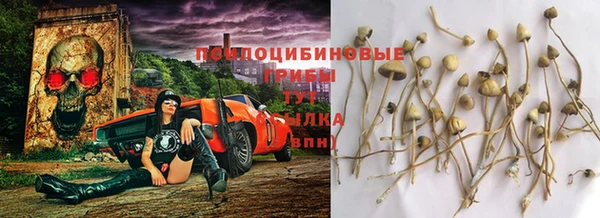 гидра Лихославль
