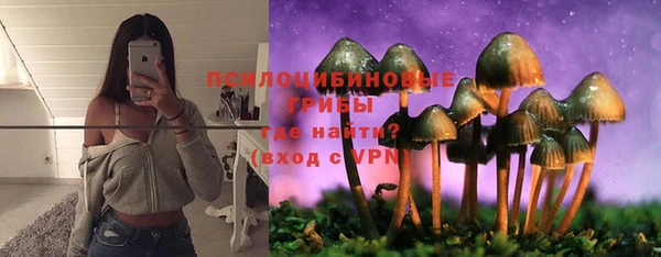 ПСИЛОЦИБИНОВЫЕ ГРИБЫ Лиски