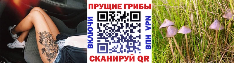 Псилоцибиновые грибы Psilocybine cubensis  наркота  Темников 