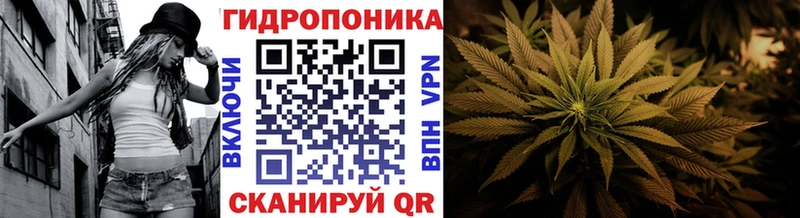 где можно купить   Темников  Канабис сатива 